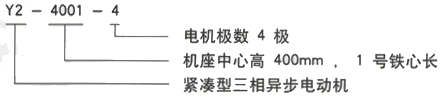 西安泰富西瑪Y2系列緊湊型高壓三相異步電動(dòng)機(jī)型號(hào)說明